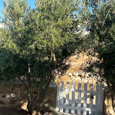 Traditional Paros House Apartman