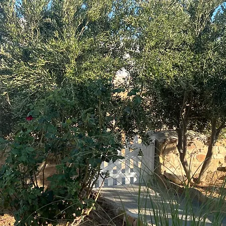 Traditional Paros House *
