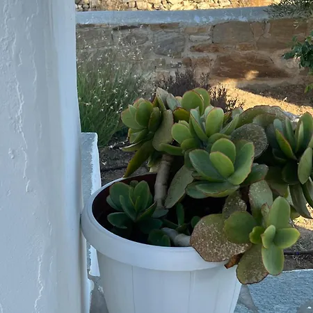 Traditional Paros House Apartman *